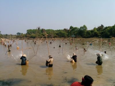Communal harvesting of a culture-based fishery, Lao PDR