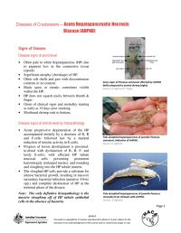 Acute Hepatopancreatic Necrosis Disease Card (updated June 2014)
