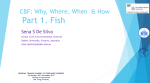 Why fish and aquaculture?