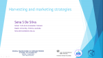 Harvesting and marketing strategies in culture-based fisheries