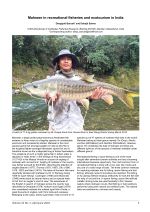 Mahseer in recreational fisheries and ecotourism in India