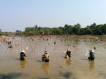 Webinar: Culture-based fisheries for rural development