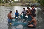 Exploration of canal resources as a potential source for fish production in the Indian Sundarbans