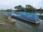 Present status of medium saline ‘bheri’ fishery and integrated mangrove-aquaculture in West Bengal, India, Part 2