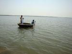 Innovative fish sale improved livelihoods at Jurala dam in Telangana, India