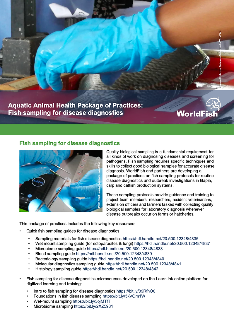 Quick Fish 4 Quick fish sampling for disease diagnostics: Blood sampling guide