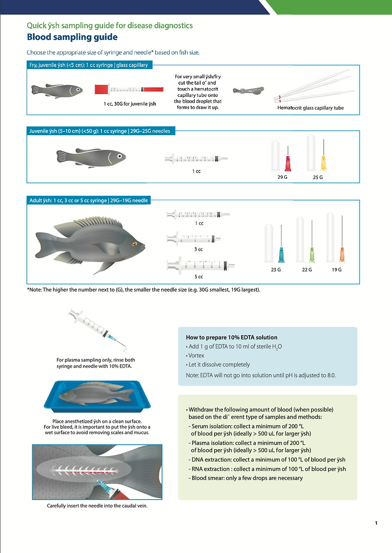 Quick fish sampling for disease diagnostics: Package of practices