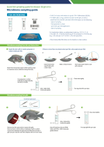 Quick fish sampling for disease diagnostics: Microbiome sampling guide