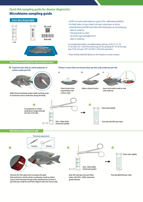 Quick fish sampling for disease diagnostics: Package of practices