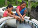 Women nurtured transformative aquaculture in rural Bengal