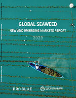 Global Seaweed: New and Emerging Markets Report 2023