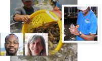 TCRS Shrimp Summit To Spotlight Issues Driving Industry Changes