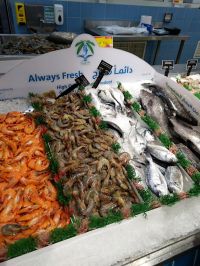 Shrimp farm biosecurity in Saudi Arabia: A journey from past practices to future vision