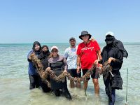 From office to field: The role of women in Saudi Arabia’s small-scale aquaculture and fisheries sector