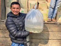 Integrating fish farming with ducks and poultry in Meghalaya: A case study in a farmer’s field