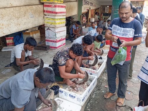 Entrepreneurs provide dressing services for small fish at Durga Chowmuhani fish market.