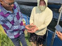 Farm brief: Medicinal leech farming, China