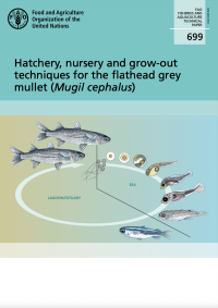 Hatchery, nursery and grow-out techniques for the flathead grey mullet (Mugil cephalus)