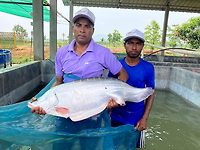 ICAR-CIFA promoting Kalong-Kapili for opening new avenues to strengthen aquaculture in Northeast region of India