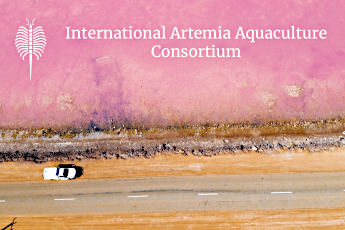 International Artemia Aquaculture Consortium