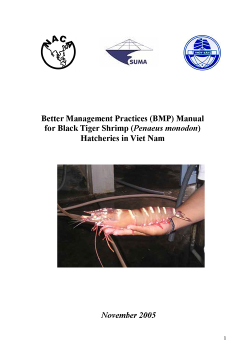 Better management practices manual for black tiger shrimp (Penaeus