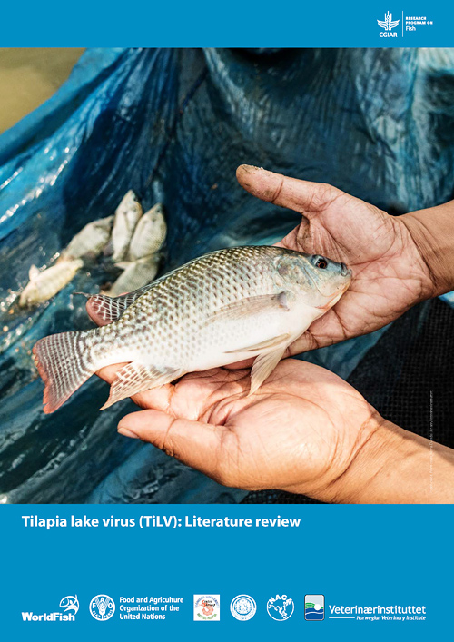 Shows differences in length and size between monosex Nile tilapia... |  Download Scientific Diagram