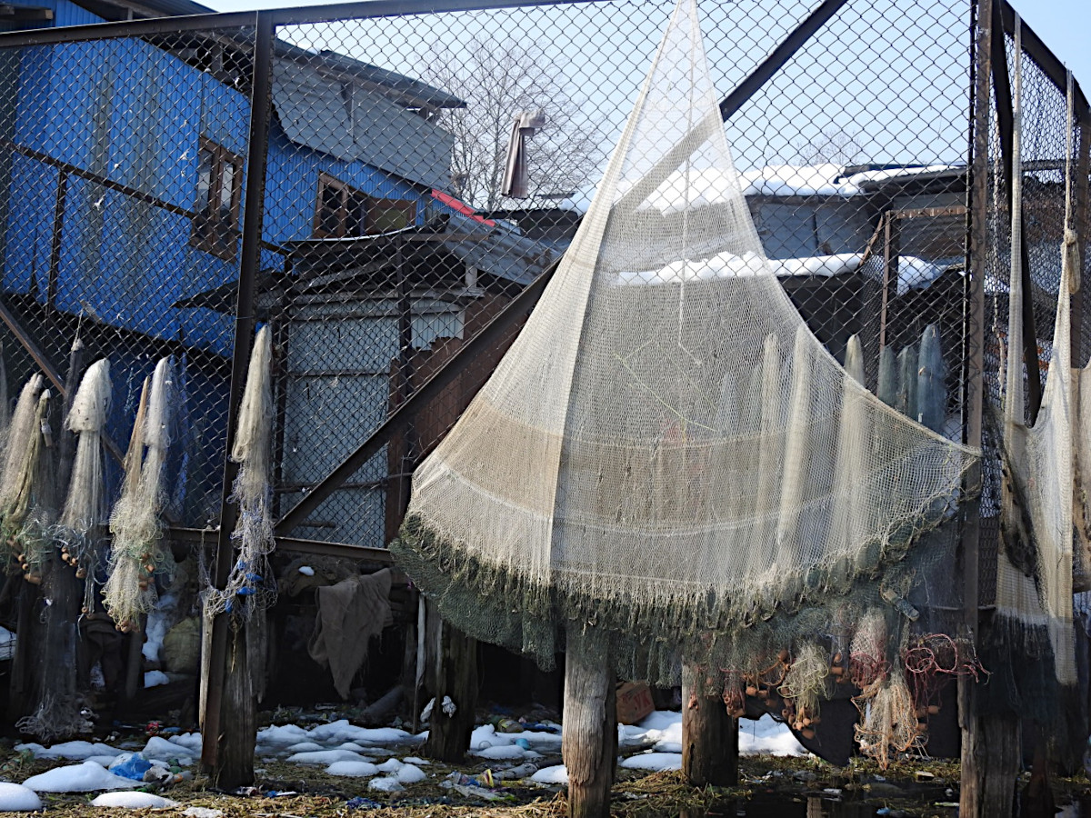 Cast nets: The dominant active fishing gear in the Kashmir Valley