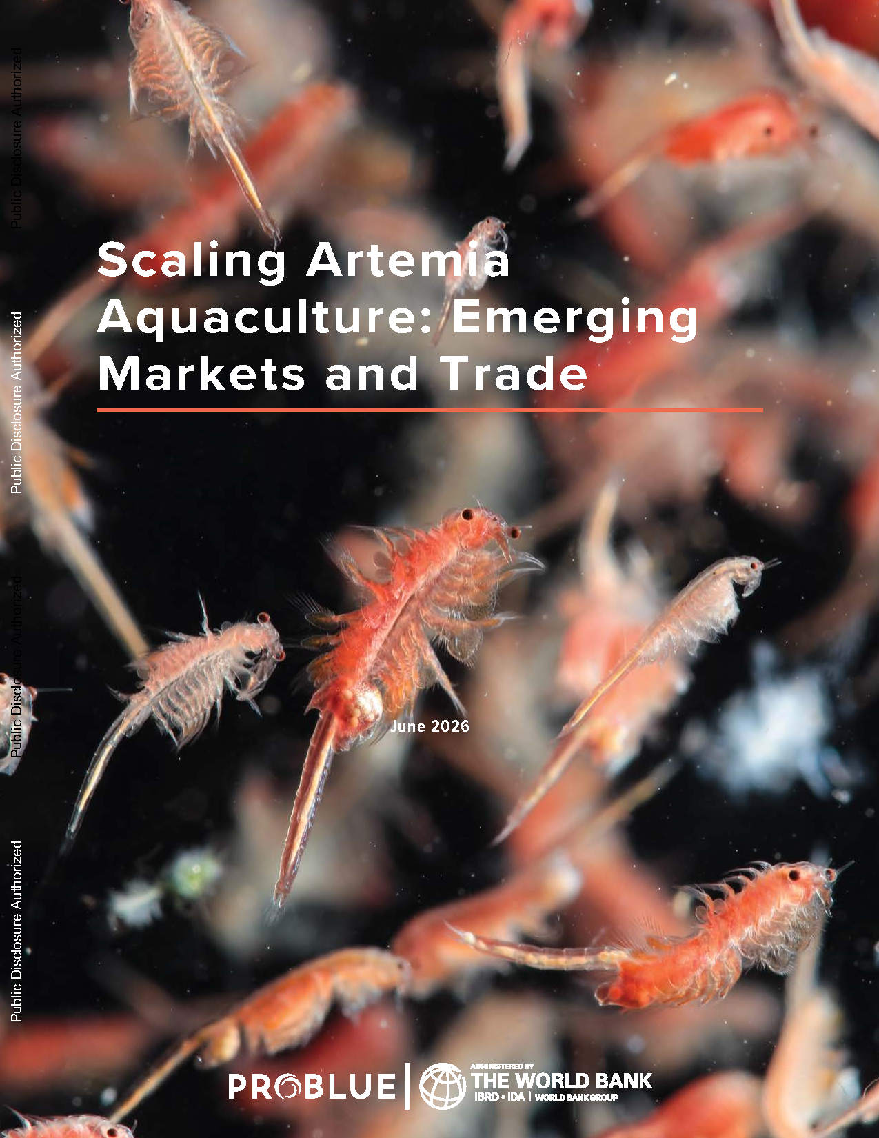 Scaling Artemia Aquaculture: Emerging Markets and Trade