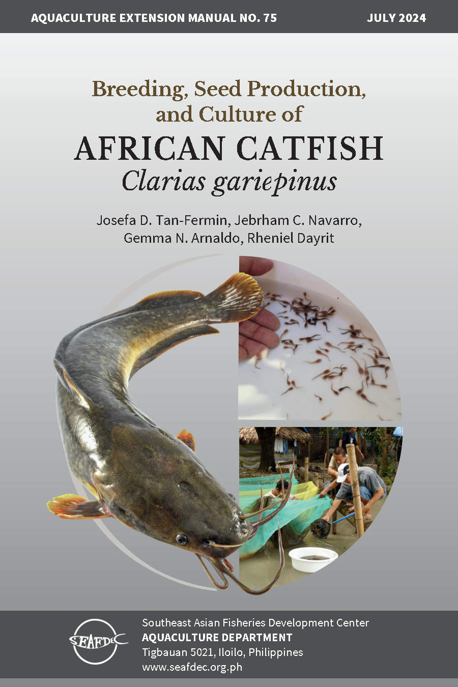 Breeding, seed production, and culture of African catfish Clarias gariepinus