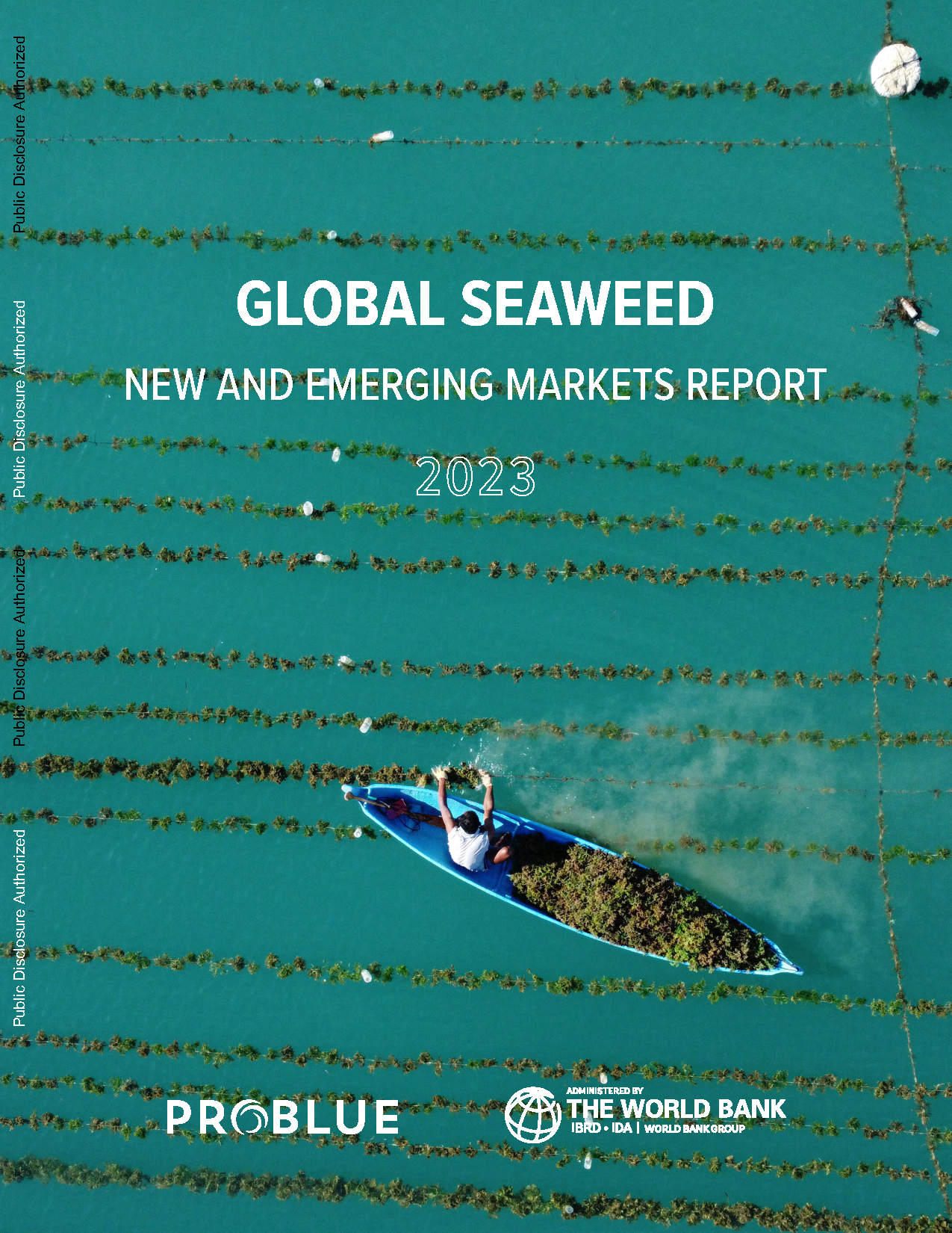 Global Seaweed: New and Emerging Markets Report 2023
