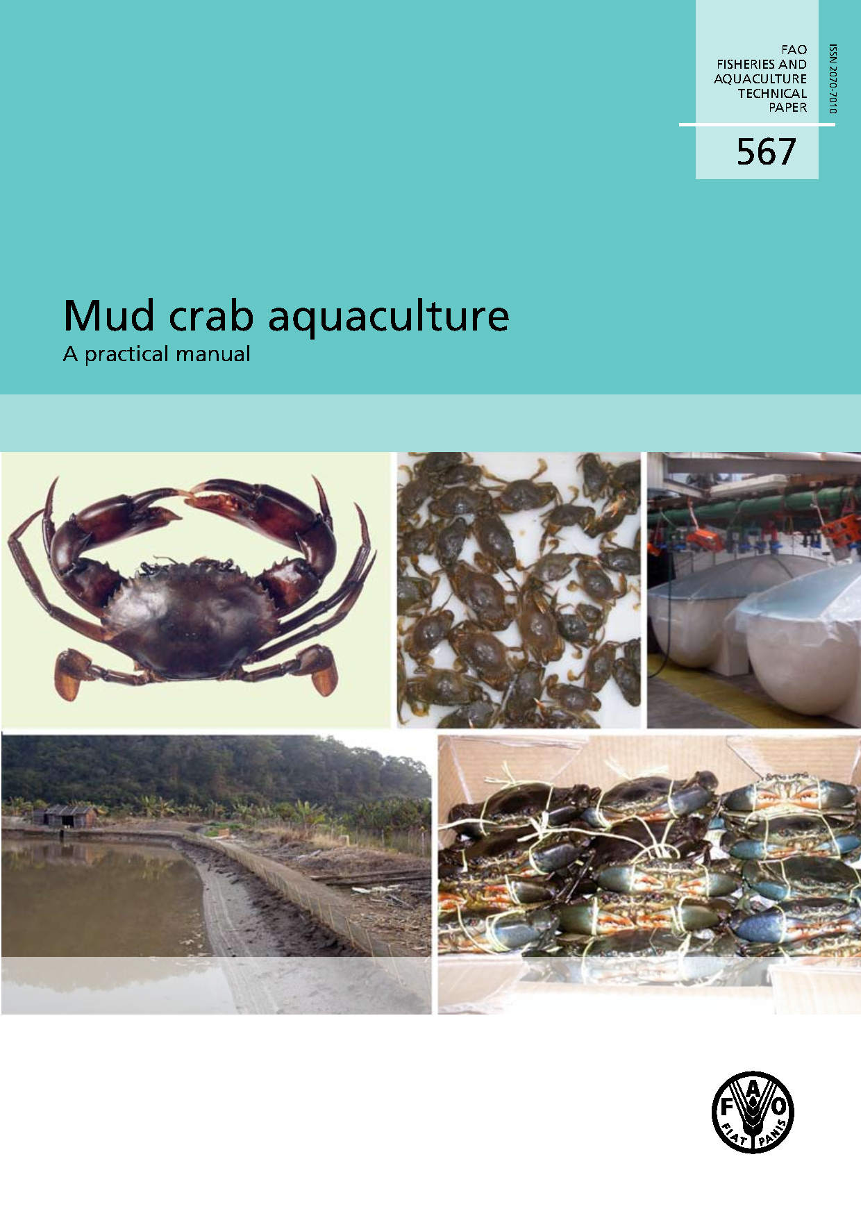 Mud crab aquaculture: A practical manual