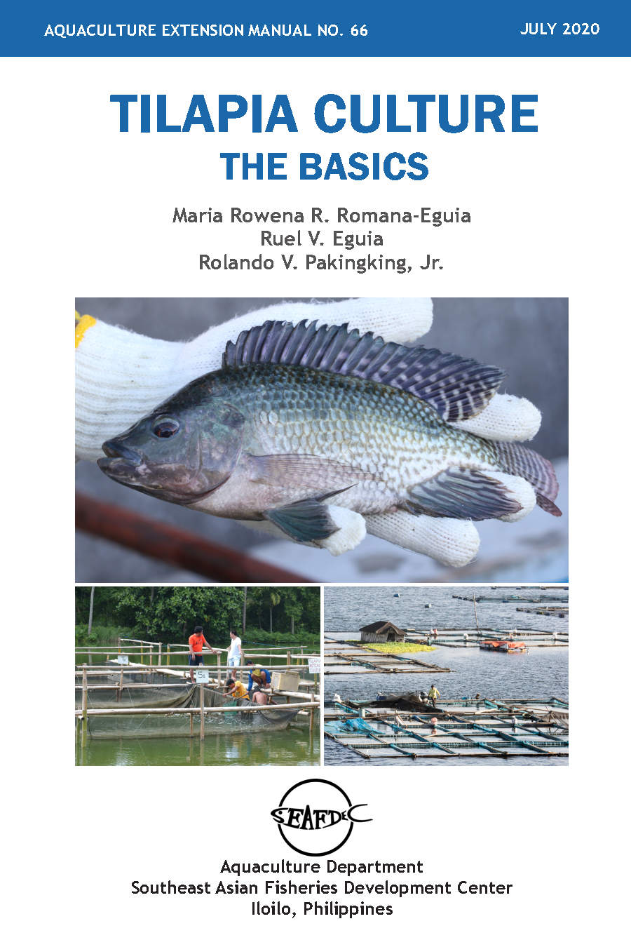 Tilapia culture: The basics