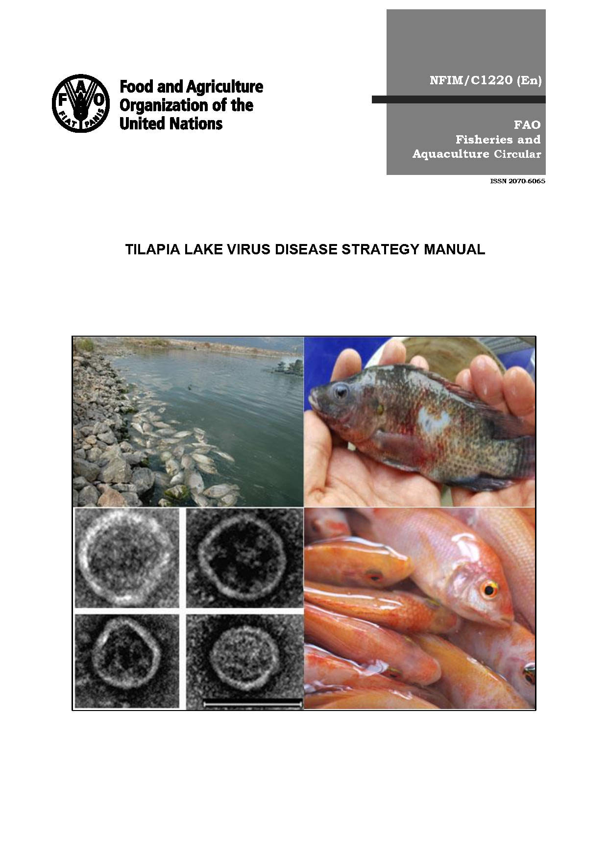 Tilapia Lake Virus Disease Strategy Manual